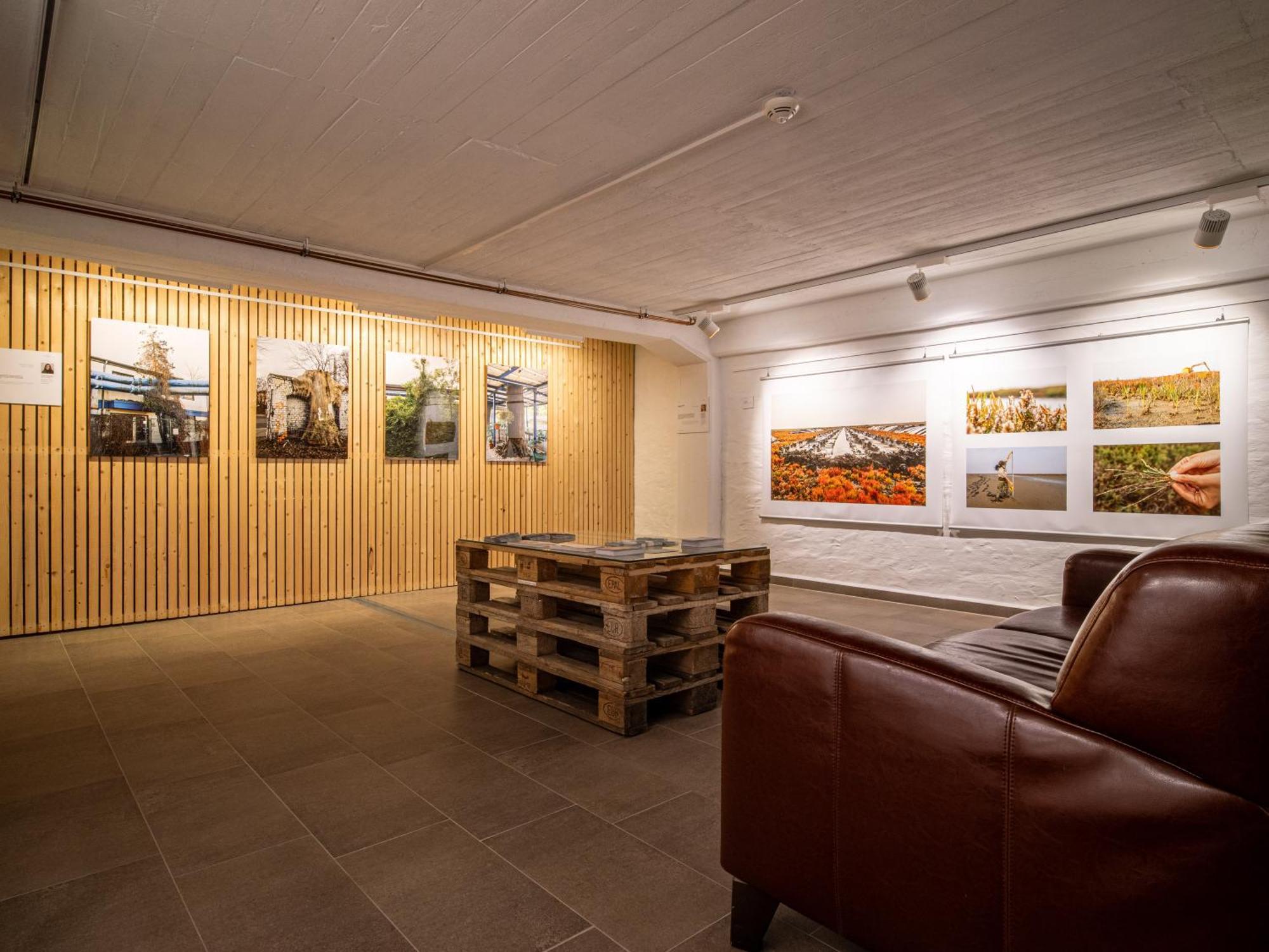 Hotel Stone Zingst Ngoại thất bức ảnh